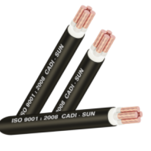 Cáp đồng 4 lõi bọc lớp cách điện XLPE 4x- CXV4x