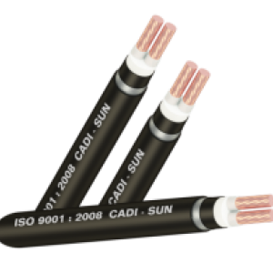 Cáp đồng ngầm 2 lõi DTSA2x