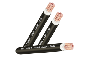 Cáp đồng 4 lõi bọc lớp cách điện XLPE 4x- CXV4x