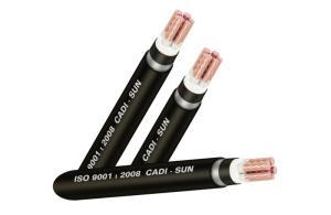 Cáp đồng ngầm 5 lõi DTSA3x+2